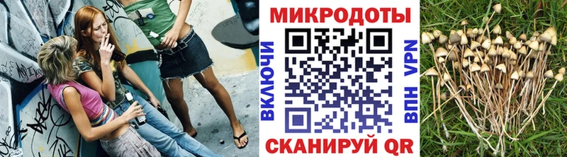 Галлюциногенные грибы MAGIC MUSHROOMS  Советский 